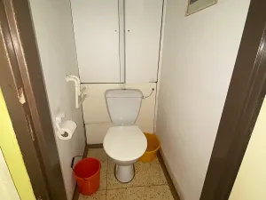 Prodej bytu 2+1, Praha - Žižkov, Pod lipami, 54 m2