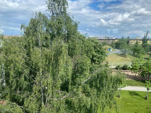 Prodej bytu 2+1, Praha - Žižkov, Pod lipami, 54 m2