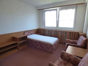 Pronájem bytu 1+kk, Brno, Heršpická, 23 m2