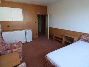 Pronájem bytu 1+kk, Brno, Heršpická, 23 m2