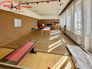 Prodej obchodního prostoru, Chlum u Třeboně, Třeboňská, 1300 m2