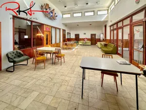 Prodej obchodního prostoru, Chlum u Třeboně, Třeboňská, 1300 m2