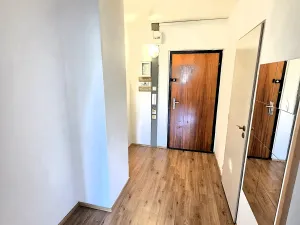 Prodej bytu 2+kk, Praha - Chodov, Konstantinova, 43 m2