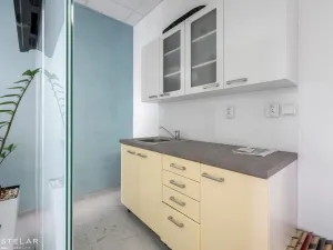 Pronájem obchodního prostoru, Hranice - Hranice I-Město, Skalní, 300 m2
