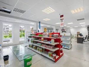 Pronájem obchodního prostoru, Hranice - Hranice I-Město, Skalní, 300 m2