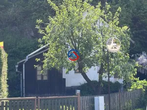 Prodej chalupy, Lesnice, 110 m2