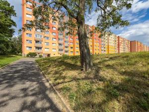 Pronájem bytu 1+1, Jirkov, SNP, 35 m2