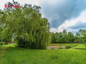 Prodej pozemku pro bydlení, Běleč, 1180 m2