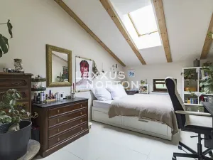 Pronájem bytu 4+kk, Praha - Bubeneč, Mlýnská, 91 m2