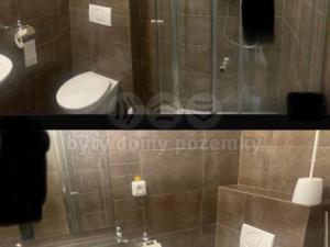 Pronájem bytu 1+kk, Sázava, Poznaňská, 17 m2