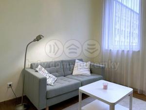 Pronájem bytu 1+kk, Sázava, Poznaňská, 17 m2
