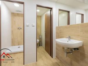 Pronájem bytu 1+kk, Ostrava, Cihelní, 33 m2