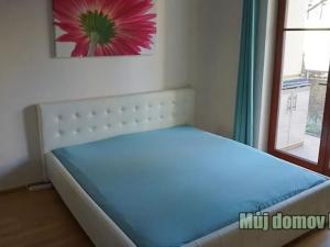 Pronájem bytu 2+kk, Praha - Dejvice, Lindleyova, 50 m2