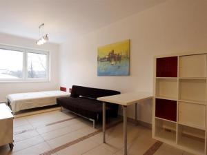 Pronájem bytu 1+kk, Brno, Rybnická, 31 m2