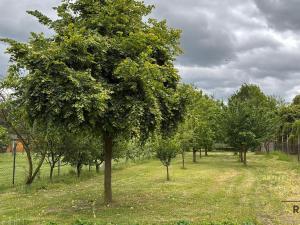 Prodej rodinného domu, Znojmo, 140 m2