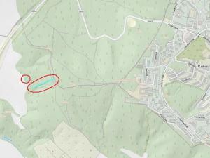 Prodej lesa, Brno, 2492 m2