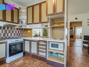 Prodej rodinného domu, Dobšice, Leska, 350 m2