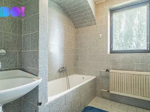 Prodej rodinného domu, Dobšice, Leska, 350 m2