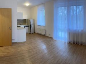 Pronájem bytu 2+kk, Pardubice - Trnová, Jozefa Gabčíka, 60 m2