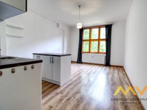 Prodej bytu 2+kk, Pardubice - Bílé Předměstí, Bubeníkova, 45 m2