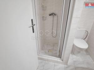 Prodej rodinného domu, Roudnice nad Labem, Rvačov, 300 m2