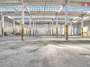 Prodej obchodního prostoru, Červená Voda, 1500 m2