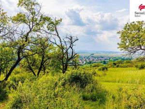 Prodej komerčního pozemku, Židlochovice, 3876 m2