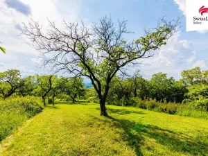 Prodej komerčního pozemku, Židlochovice, 3876 m2