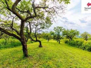 Prodej komerčního pozemku, Židlochovice, 3876 m2