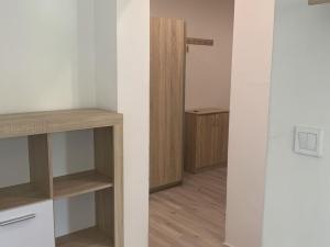 Pronájem bytu 1+1, Ostrava - Hrabůvka, Závodní, 34 m2