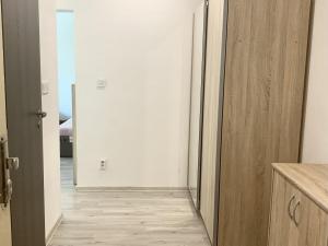 Pronájem bytu 1+1, Ostrava - Hrabůvka, Závodní, 34 m2