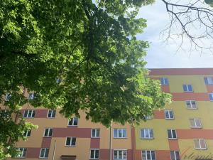 Pronájem bytu 1+1, Ostrava - Hrabůvka, Závodní, 34 m2