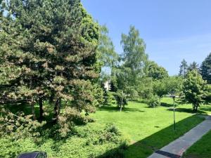 Pronájem bytu 1+1, Ostrava - Hrabůvka, Závodní, 34 m2