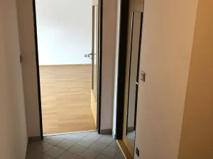 Pronájem bytu 2+kk, Plzeň, Houškova, 46 m2