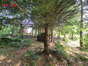 Prodej chaty, Borušov, 35 m2