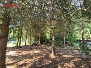 Prodej chaty, Borušov, 35 m2