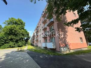 Pronájem bytu 1+kk, Havířov, Družstevnická, 22 m2