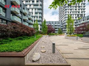 Prodej bytu 2+kk, Praha - Žižkov, Olšanská, 80 m2