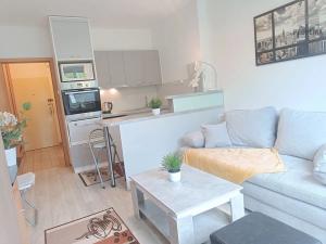 Pronájem bytu 1+kk, Brno, Srbská, 25 m2