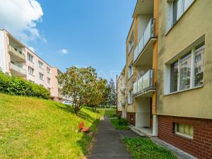 Prodej bytu 1+1, Rakovník - Rakovník II, Družstevní, 36 m2