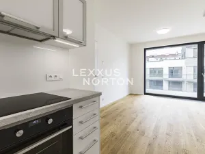 Pronájem bytu 2+kk, Praha - Holešovice, U průhonu, 51 m2