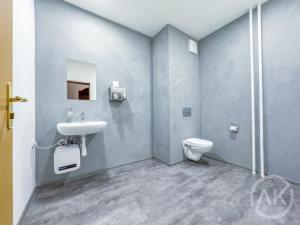 Pronájem kanceláře, Ostrava - Přívoz, Libušina, 25 m2