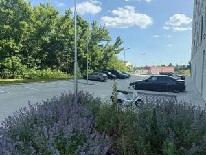 Pronájem bytu 1+kk, Brno, Bohunická, 34 m2