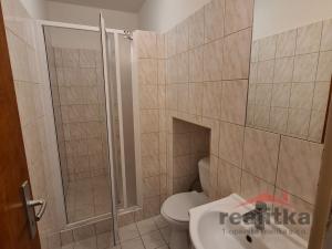 Pronájem bytu 1+kk, Opava - Předměstí, Olbrichova, 30 m2