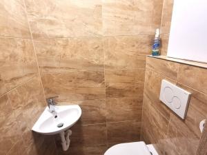 Pronájem bytu 3+1, Olomouc - Holice, U cukrovaru, 74 m2