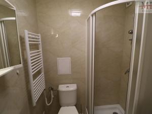 Pronájem bytu 1+kk, Most, Jaroslava Seiferta, 35 m2