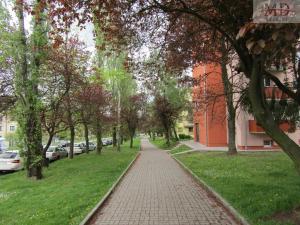 Pronájem bytu 1+kk, Most, Jaroslava Seiferta, 35 m2