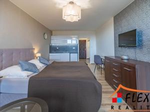 Pronájem bytu 1+kk, Ostrava - Moravská Ostrava, Maroldova, 31 m2