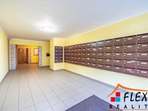Pronájem bytu 1+kk, Ostrava - Moravská Ostrava, Maroldova, 31 m2