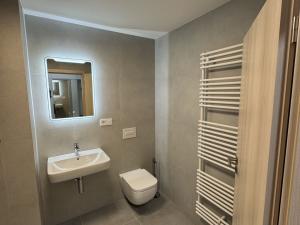 Pronájem bytu 1+kk, Opava, Císařského pluku, 34 m2